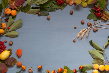 meyve fındık renkli yaprakları üzerinde arka plan Kahvaltı Öğle Yemeği akşam yemeği için