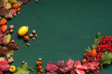 meyve fındık renkli yaprakları üzerinde arka plan Kahvaltı Öğle Yemeği akşam yemeği için