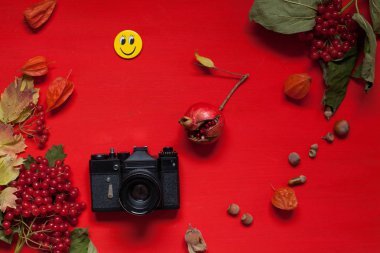 meyve fındık renkli yaprakları üzerinde arka plan Kahvaltı Öğle Yemeği akşam yemeği için