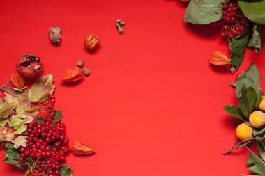 meyve fındık renkli yaprakları üzerinde arka plan Kahvaltı Öğle Yemeği akşam yemeği için