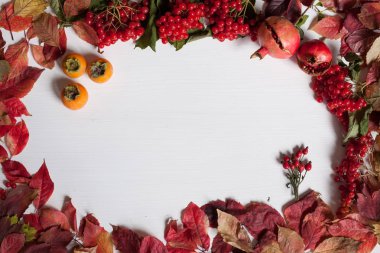 Kırmızı yaprakları ve beyaz arka plan kayıtlarda olgun çilek