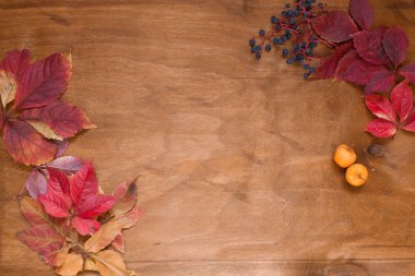 Ahşap bir arka plan üzerinde farklı renk sonbahar yaprakları