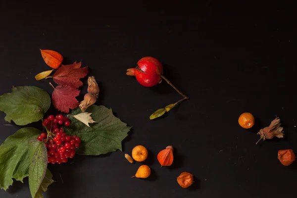 Фрукты орехи красочные листья на заднем плане на обед обед обед — стоковое фото