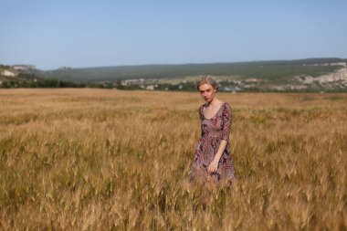 buğday hasat alanında bir kadın çiftçi