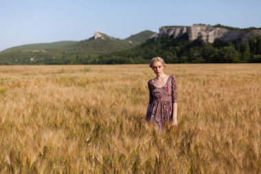 buğday hasat alanında bir kadın çiftçi