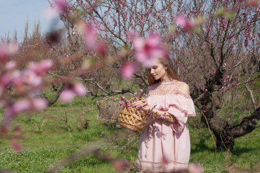 pembe çiçekleri ile baharda çiçekli Şeftali Bahçesi güzel sarışın kadın