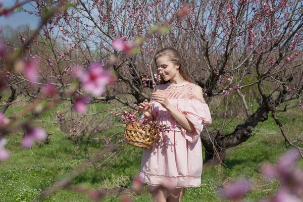 Bela mulher loira em um jardim de pêssego florido na primavera com flores rosa — Fotografia de Stock