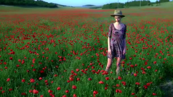 Dreamy woman in dress and hat in beautiful herb flowering poppy field. — Stock Video