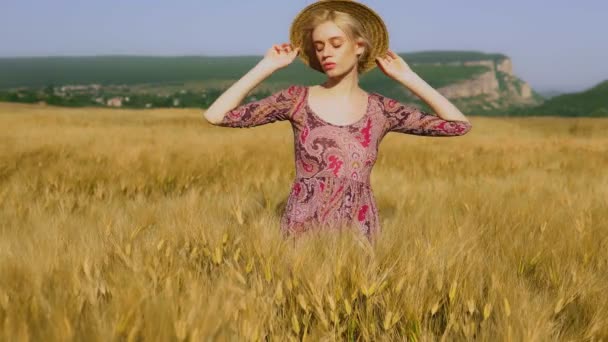 Fashionable woman farmer in field of wheat harvesting rye — Stock Video