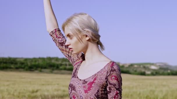 时尚女农民在小麦收获黑麦领域 — 图库视频影像
