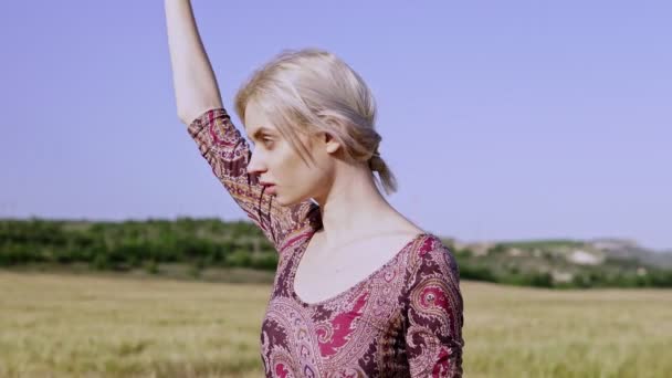 Fashionable woman farmer in field of wheat harvesting rye — Stock Video