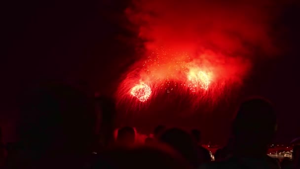 표시. 사진을 찍고 불꽃놀이 축제 쇼를 촬영하는 여성과 남성 — 비디오