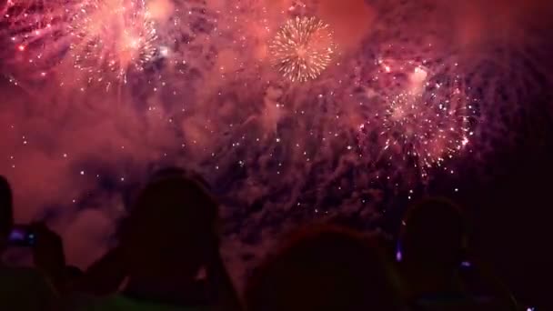 여름 밤 하늘의 아름다움을 보는 젊은 이들의 그룹. — 비디오