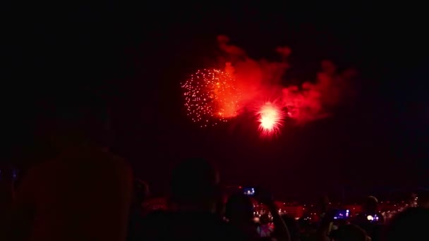 표시. 사진을 찍고 불꽃놀이 축제 쇼를 촬영하는 여성과 남성 — 비디오