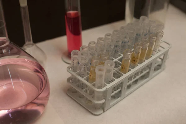 Тестові трубки та контейнери для експериментів у лабораторії — стокове фото