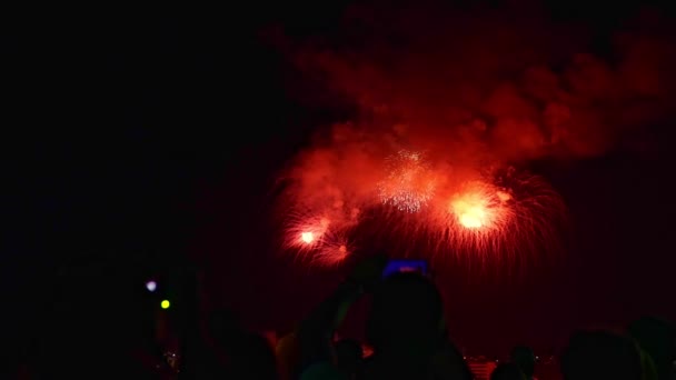 표시. 사진을 찍고 불꽃놀이 축제 쇼를 촬영하는 여성과 남성 — 비디오