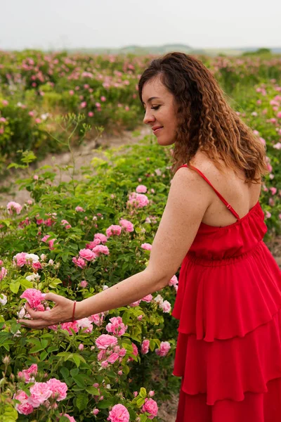 Mulher bonita em vestido vermelho em um campo de rosas florescentes — Fotografia de Stock