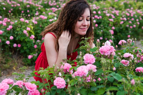Piękna kobieta w czerwonej sukni na polu kwitnących róż — Zdjęcie stockowe