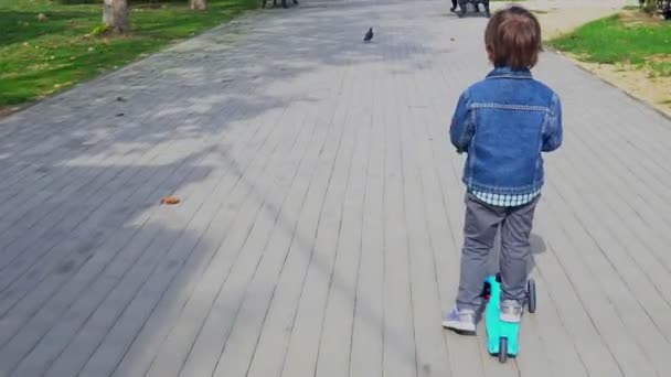 Мальчик ездит на скутере в парке. — стоковое видео