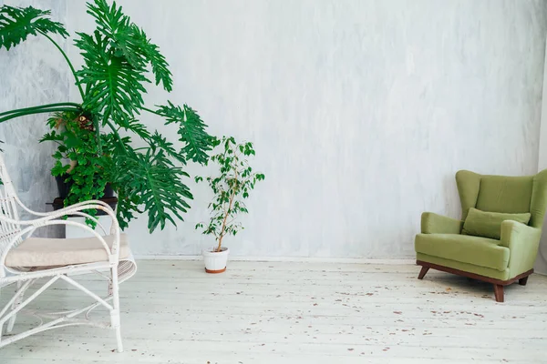 Chaise blanche et verte avec des plantes dans une chambre vintage grise — Photo