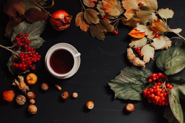 Siyah arka planda sarı ve kırmızı yapraklar ve meyveler
