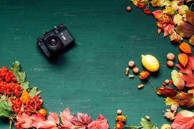 Sonbahar arkaplanı kırmızı ve sarı düşmüş yapraklar ve meyvelerle