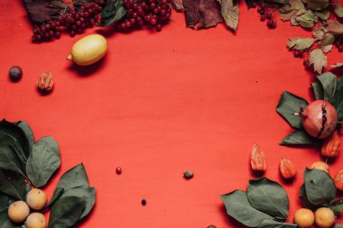 Sonbahar arkaplanı kırmızı ve sarı düşmüş yapraklar ve meyvelerle