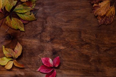 Kırmızı ve sarı yapraklı sonbahar masa