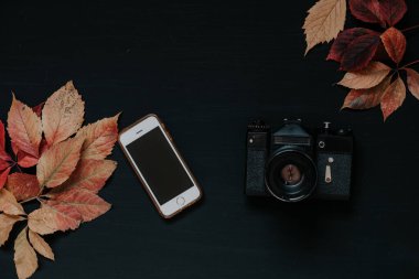 Kırmızı ve sarı yapraklı sonbahar masa