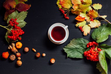 Sonbahar yaprakları ve meyveler sonbahar arka planında.