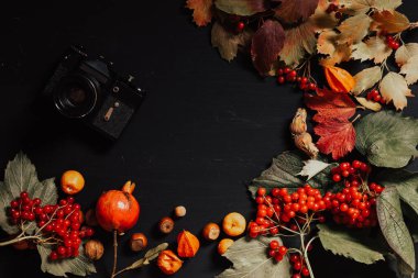 Sonbahar yaprakları ve meyveler sonbahar arka planında.