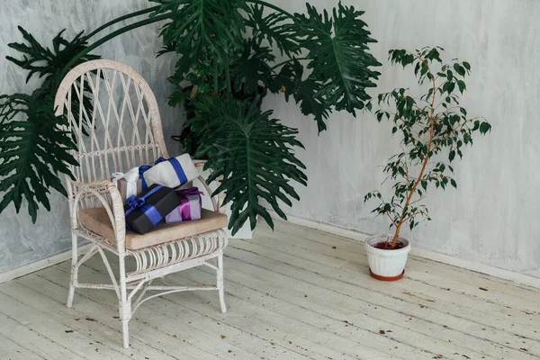 Chaise blanche avec des plantes et des cadeaux dans la chambre grise — Photo