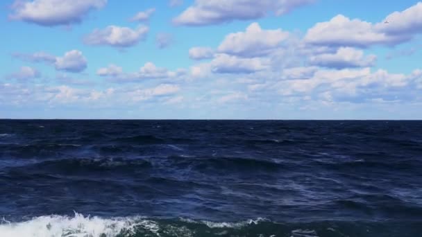 Storm golven slaan de rotsen — Stockvideo