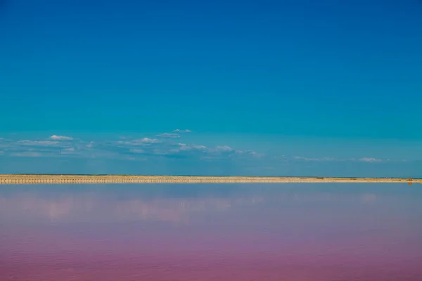 rose water Salt Lake landscape nature background