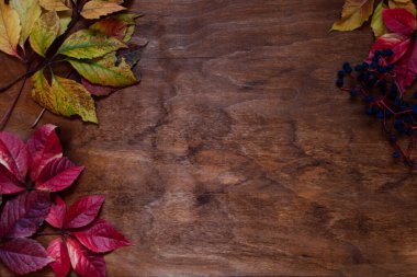 Sonbahar sarısı yapraklar tıp sonbahar arkaplanı