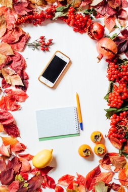 Sonbahar arkaplan dokusu sarı ve kırmızı yaprak