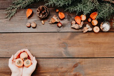Yılbaşı ağacı Noel süslemelerini sunar.