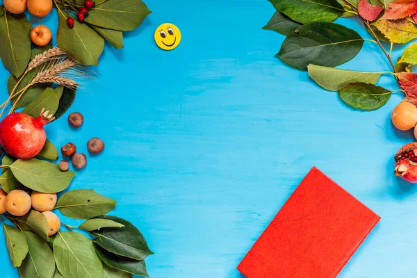 Frutas nozes folhas coloridas no fundo para almoço almoço jantar — Fotografia de Stock