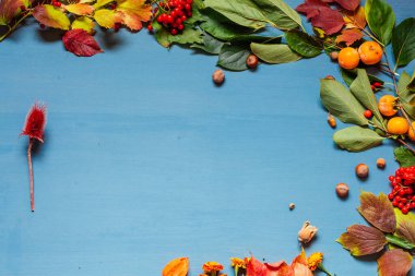 Sonbahar arkaplan dokusu sarı ve kırmızı yaprak