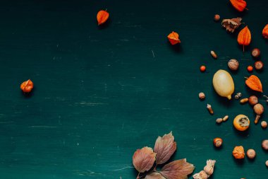 Sonbahar arkaplanı sarı ve kırmızı yapraklar meyveli fındık