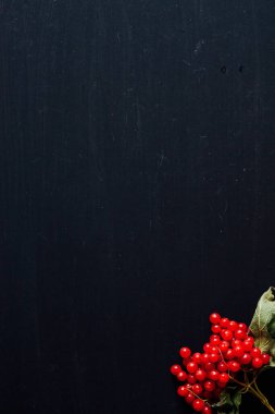 Sonbahar arkaplanı sarı ve kırmızı yapraklar meyveli fındık