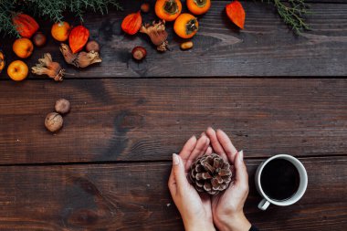 Noel arkaplanı Yılbaşı Ağacı hediyeleri