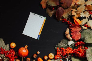 çilek meyve somun sonbahar arka plan sarı ve kırmızı yaprakları