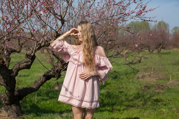 Egy Rózsaszín Ruhás Szőke Sétál Virágzó Őszibarack Kertben — Stock Fotó