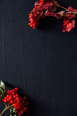 sonbahar arka plan sarı ve kırmızı meyve berry