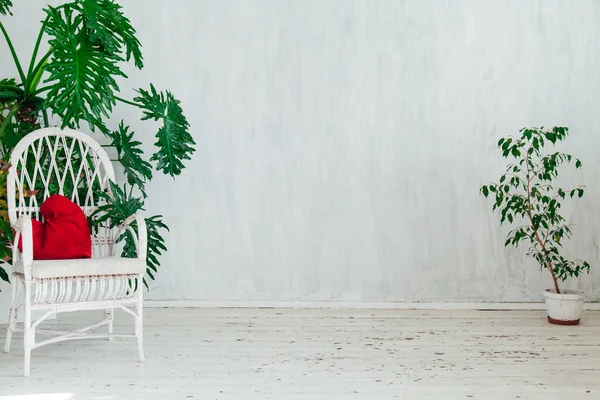 Canapé blanc avec des plantes à l'intérieur de la chambre grise de la maison — Photo