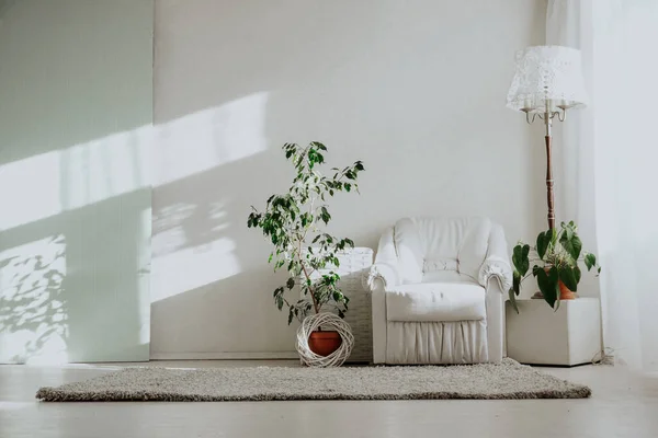 Quarto luminoso com poltrona branca TThis e plantas de casa — Fotografia de Stock