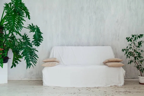 Canapé blanc avec plantes à la maison à l'intérieur d'une chambre grise vintage — Photo