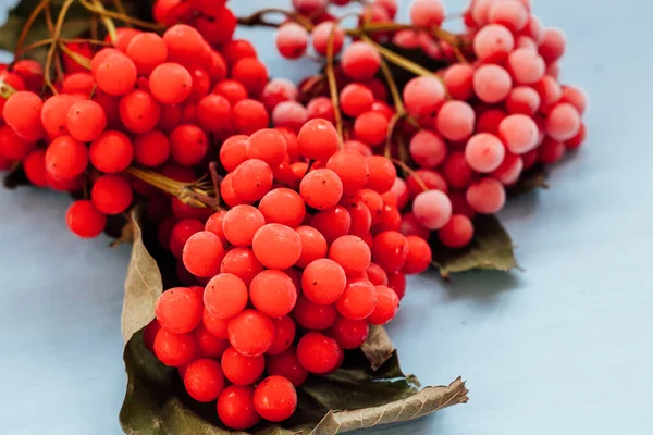 Jul bakgrund juldekoration gåvor leksaker snöflingor — Stockfoto