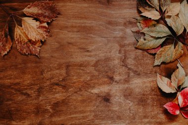 ahşap zemin üzerine sarı ve kırmızı sonbahar yaprakları